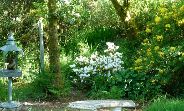 A wooden dragon in a copper house, by planting of azaleas, ferns and hostas
